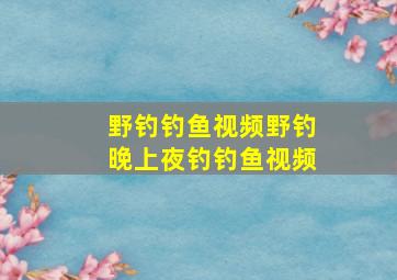 野钓钓鱼视频野钓晚上夜钓钓鱼视频