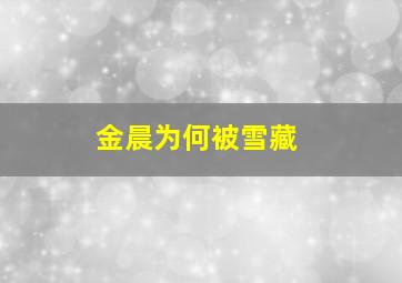 金晨为何被雪藏