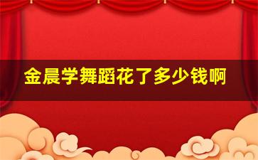 金晨学舞蹈花了多少钱啊