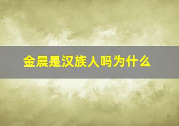 金晨是汉族人吗为什么