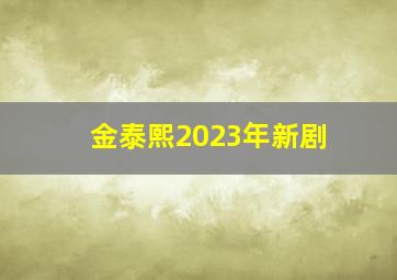 金泰熙2023年新剧