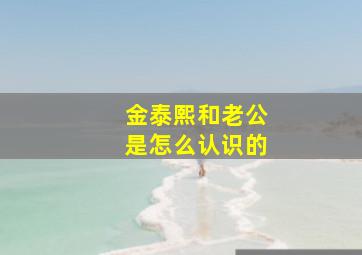 金泰熙和老公是怎么认识的