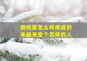 钢铁是怎么样炼成的朱赫来是个怎样的人