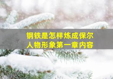 钢铁是怎样炼成保尔人物形象第一章内容