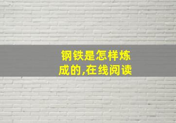 钢铁是怎样炼成的,在线阅读