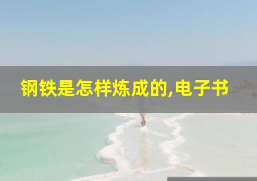 钢铁是怎样炼成的,电子书