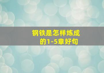 钢铁是怎样炼成的1-5章好句