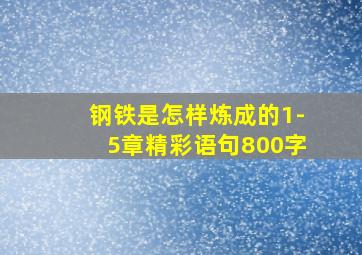 钢铁是怎样炼成的1-5章精彩语句800字