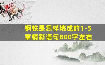 钢铁是怎样炼成的1-5章精彩语句800字左右