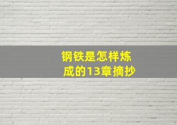 钢铁是怎样炼成的13章摘抄