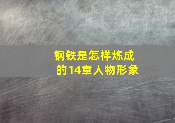 钢铁是怎样炼成的14章人物形象