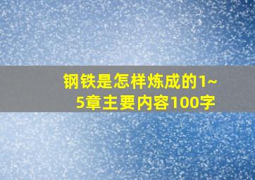 钢铁是怎样炼成的1~5章主要内容100字