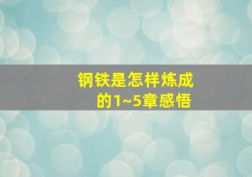 钢铁是怎样炼成的1~5章感悟