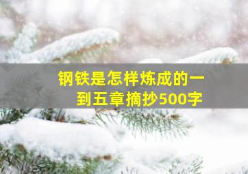 钢铁是怎样炼成的一到五章摘抄500字