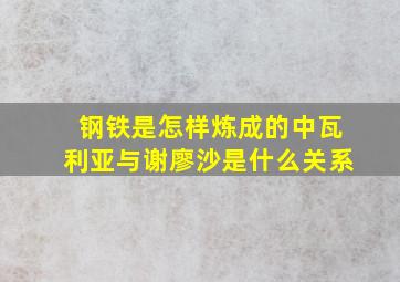 钢铁是怎样炼成的中瓦利亚与谢廖沙是什么关系