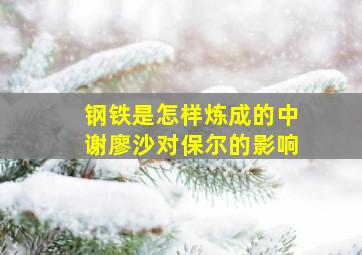 钢铁是怎样炼成的中谢廖沙对保尔的影响