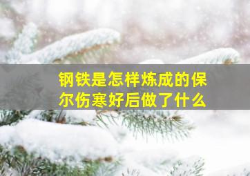 钢铁是怎样炼成的保尔伤寒好后做了什么