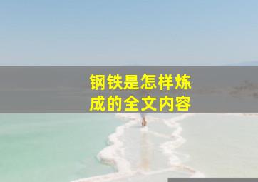 钢铁是怎样炼成的全文内容