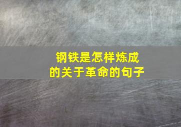 钢铁是怎样炼成的关于革命的句子