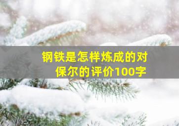 钢铁是怎样炼成的对保尔的评价100字