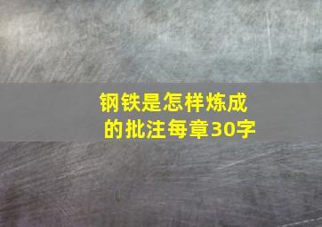 钢铁是怎样炼成的批注每章30字