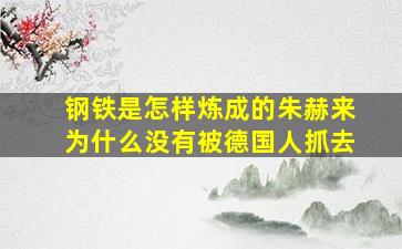 钢铁是怎样炼成的朱赫来为什么没有被德国人抓去