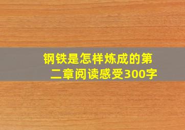 钢铁是怎样炼成的第二章阅读感受300字