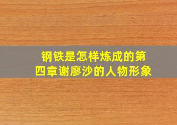 钢铁是怎样炼成的第四章谢廖沙的人物形象