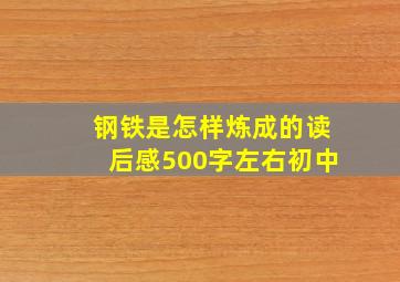 钢铁是怎样炼成的读后感500字左右初中