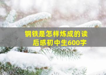 钢铁是怎样炼成的读后感初中生600字