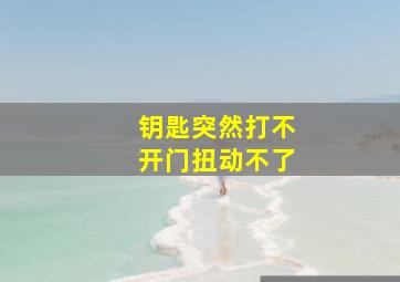 钥匙突然打不开门扭动不了