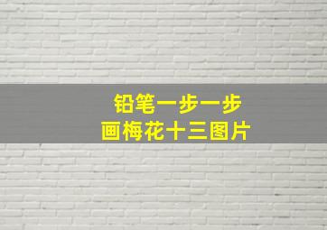 铅笔一步一步画梅花十三图片