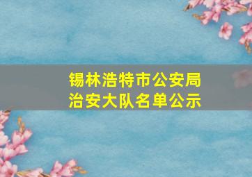 锡林浩特市公安局治安大队名单公示