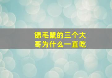 锦毛鼠的三个大哥为什么一直吃