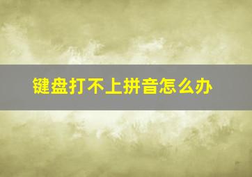 键盘打不上拼音怎么办