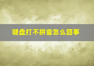 键盘打不拼音怎么回事