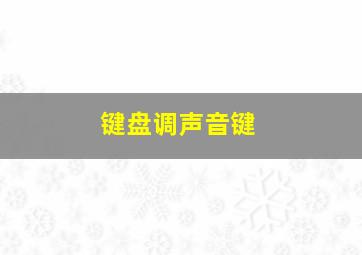 键盘调声音键