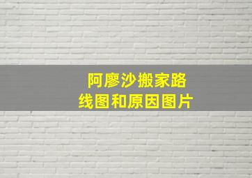 阿廖沙搬家路线图和原因图片