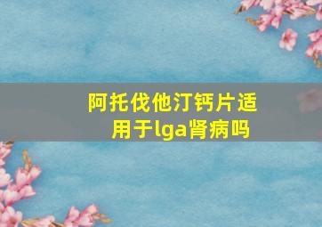 阿托伐他汀钙片适用于lga肾病吗