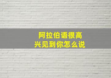 阿拉伯语很高兴见到你怎么说