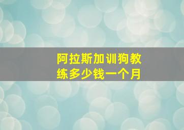 阿拉斯加训狗教练多少钱一个月