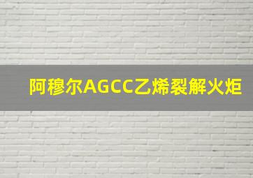 阿穆尔AGCC乙烯裂解火炬