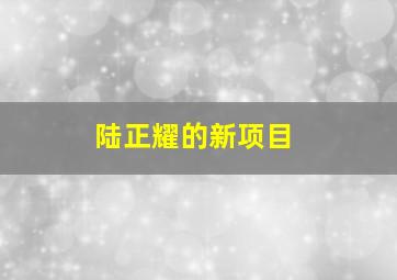 陆正耀的新项目