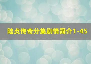 陆贞传奇分集剧情简介1-45