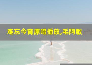 难忘今宵原唱播放,毛阿敏