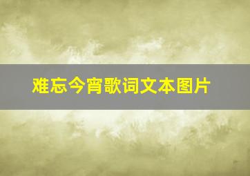 难忘今宵歌词文本图片