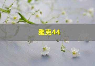 雅克44