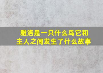 雅洛是一只什么鸟它和主人之间发生了什么故事