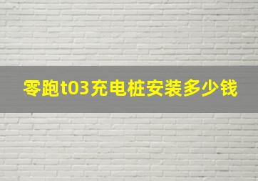 零跑t03充电桩安装多少钱