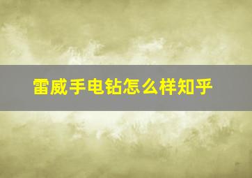 雷威手电钻怎么样知乎